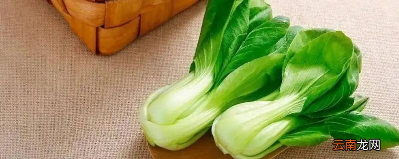 七宝菜是什么青菜