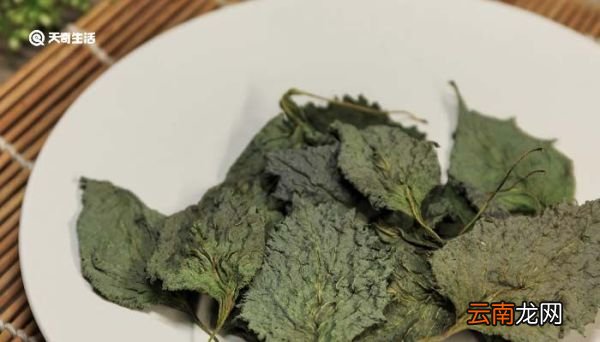 农村臭菜是什么菜 农村臭菜是什么