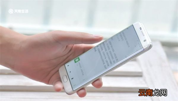 树洞是什么意思 树洞是什么意思网络用语