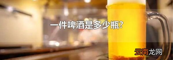 一件啤酒是多少瓶?
