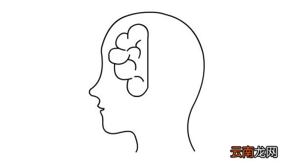 大脑怎么画简笔画