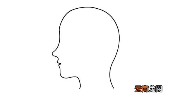大脑怎么画简笔画