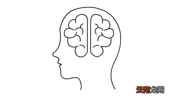 大脑怎么画简笔画