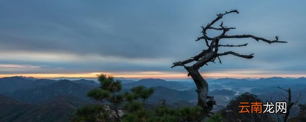 东流至此回是什么诗啊 碧水东流至此回是什么诗