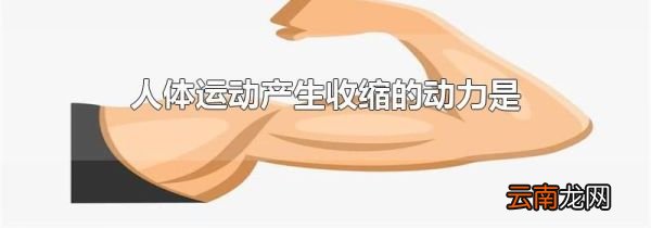 人体运动产生收缩的动力是