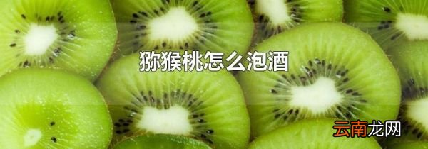 猕猴桃怎么泡酒