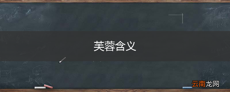 芙蓉含义