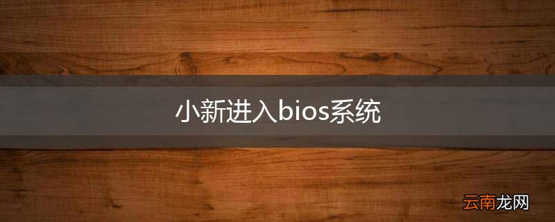 小新进入bios系统