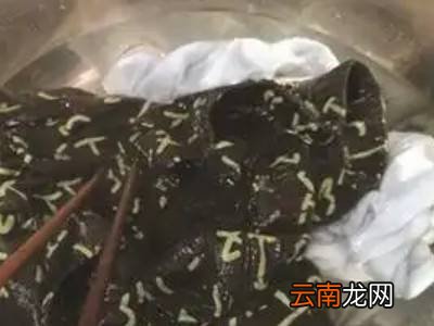 内裤没有条件暴晒怎么办