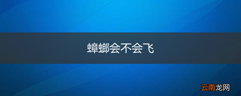 蟑螂会不会飞