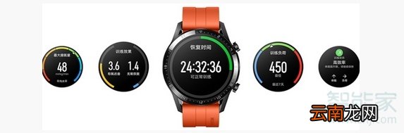 华为watch gt2日常活动在哪查看