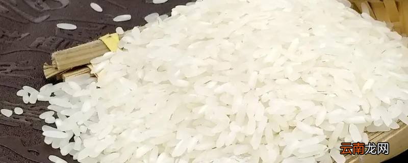饽饽是什么东西
