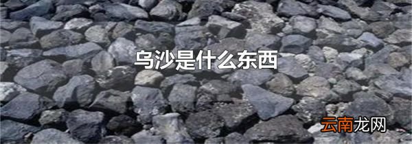 乌沙是什么东西