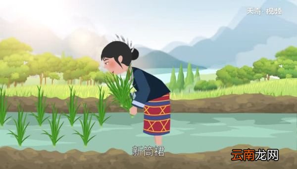 黎族的风俗文化 黎族的风俗习惯简介
