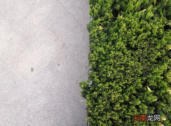 荣耀V10怎么样？荣耀V10手机评测