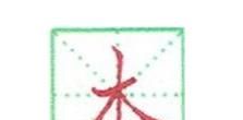 硬笔楷书木字怎样写好看？
