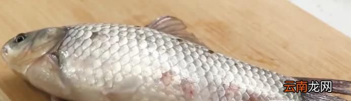 如何轻松完整的杀鱼？