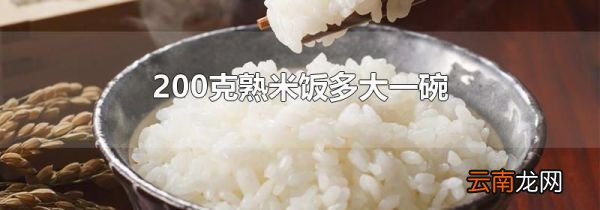 200克熟米饭多大一碗