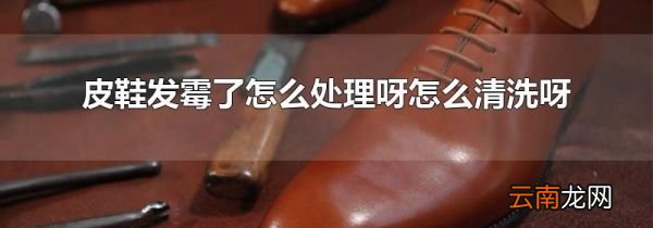 皮鞋发霉了怎么处理呀怎么清洗呀