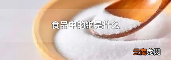 食品中的钠是什么