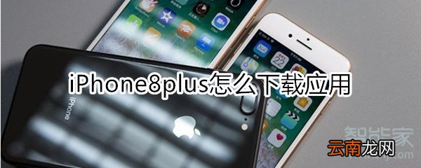 iPhone8plus怎么下载应用