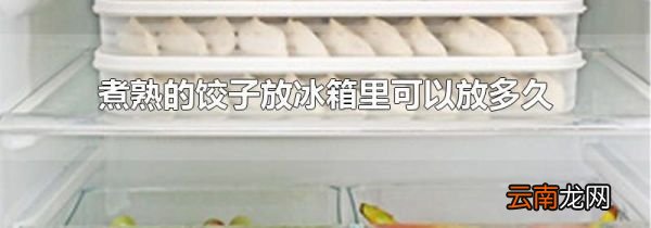 煮熟的饺子放冰箱里可以放多久