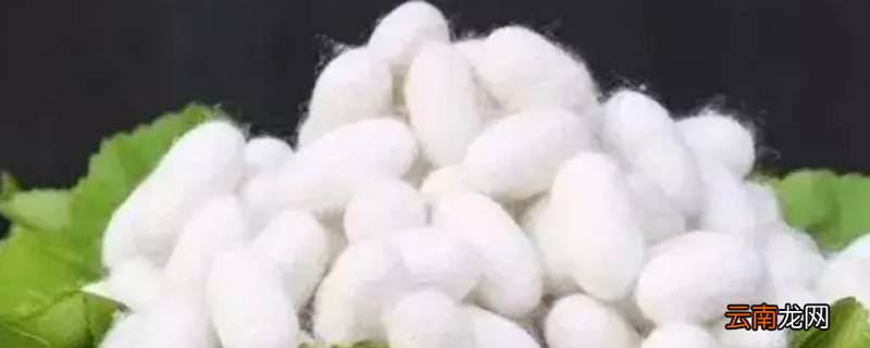 蚕丝的主要成分