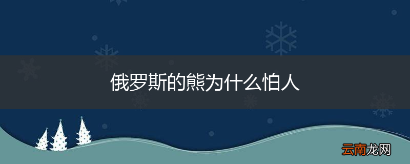 俄罗斯的熊为什么怕人