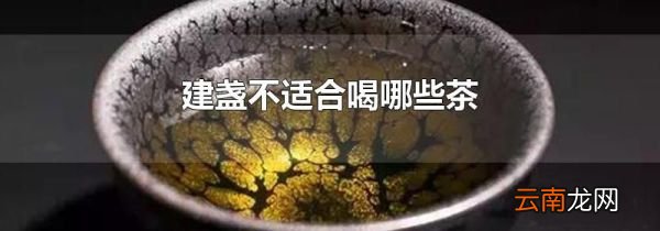建盏不适合喝哪些茶