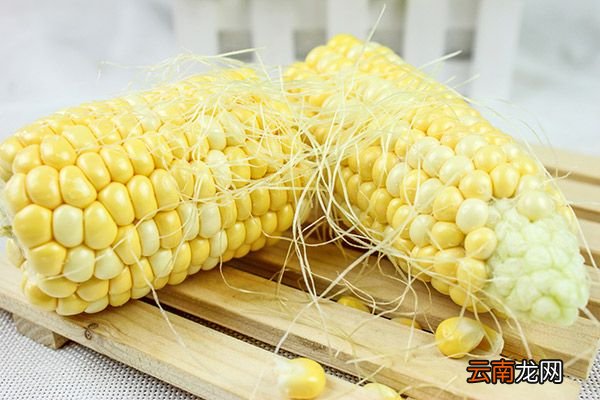 煮玉米须水的功效与作用 煮玉米须水有什么功效