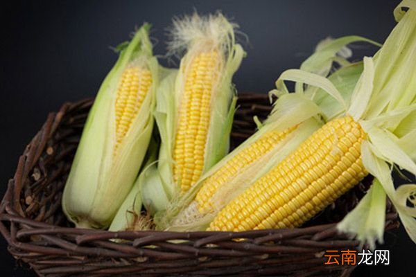 煮玉米须水的功效与作用 煮玉米须水有什么功效