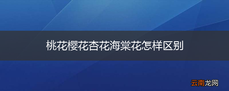 桃花樱花杏花海棠花怎样区别
