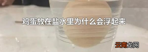 鸡蛋放在盐水里为什么会浮起来