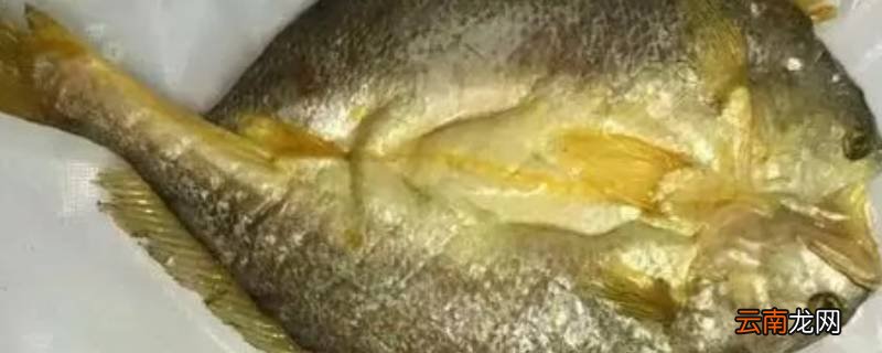 脱脂黄鱼是什么意思