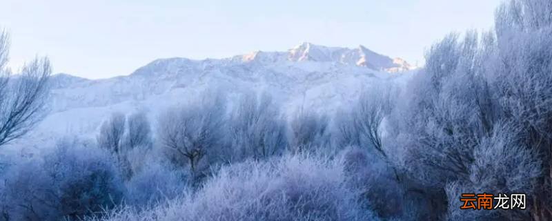 雪前冷还是雪后冷