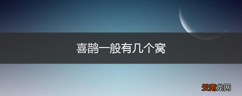 喜鹊一般有几个窝