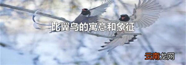 比翼鸟的寓意和象征