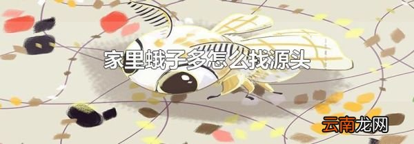 家里蛾子多怎么找源头