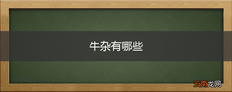 牛杂有哪些