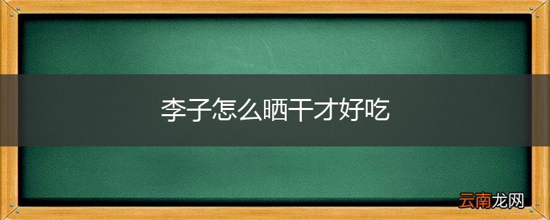李子怎么晒干才好吃
