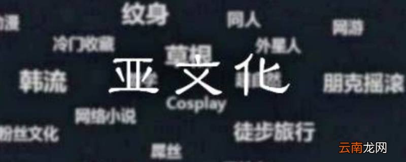 亚文化包括哪些