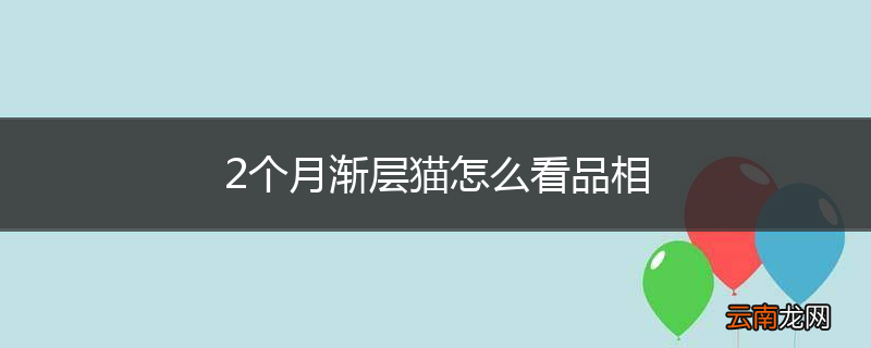 2个月渐层猫怎么看品相