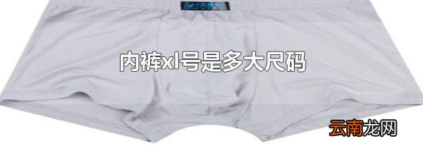 内裤xl号是多大尺码