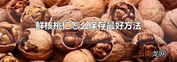 鲜核桃仁怎么保存最好方法