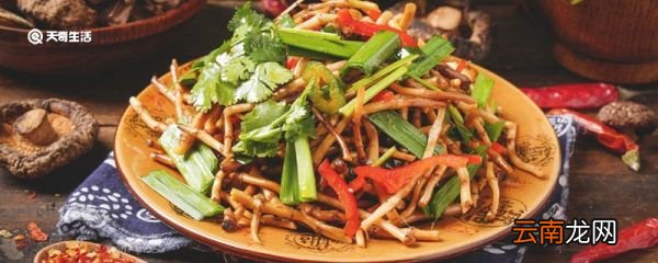 折耳根是什么 为什么折耳根又叫鱼腥草