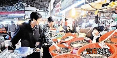 买回来的螃蟹怎么养