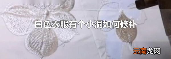 白色衣服有个小洞如何修补