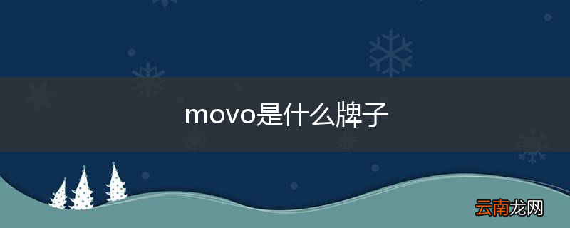 movo是什么牌子