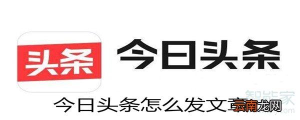 今日头条怎么发文章