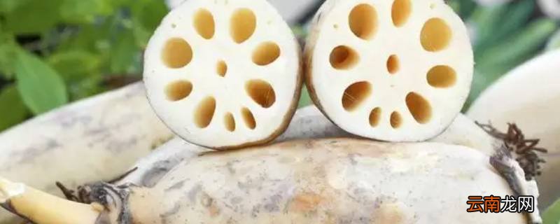 藕冬天放在外面可以放几天